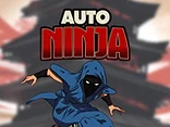 Auto Ninja - Play free online Skill game