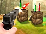 Bottle Target Shooting 3D - Play free online game