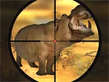 Classical Hippo Hunting - Play free online game