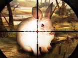 Classical Rabbit Hunting - Play free online game