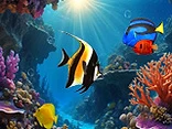 Digital Aqua - Play free online Fish game