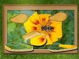 Find & Restore: Hidden Puzzle - Play free online Puzzle game