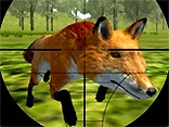 Fox Hunting - Play free online game