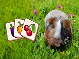 Guinea Piggy: Matching - Play free online Tiles game