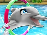 My Dolphin Show 2 - Play free online My Dolphin Show game