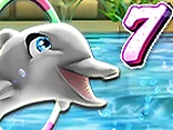 My Dolphin Show 7 - Play free online My Dolphin Show game
