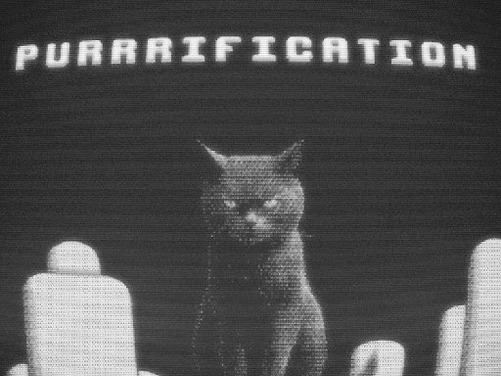 Purrrification - Play free online Puzzle game
