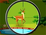 Roe Deer Hunting - Play free online Hunting game