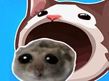 Save The Hamster from Cat - Play free online Hamster game