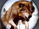 Wild Animal Hunting - Play free online Hunting game