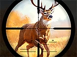 Wild Hunting Clash - Play free online Hunting game